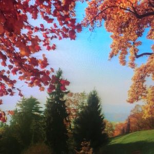 Meet your Posher, Adrien